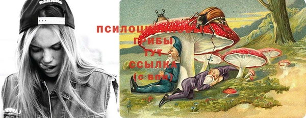 apvp Абдулино